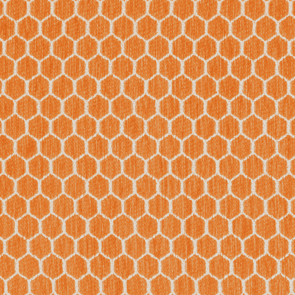 36081-12 by Kravet Design Fabric INSIDE OUT PERFORMANCE FABRICS POLYESTER - 100% United States HEAVY Horizontal: 1.25 and Vertical: 0.69 57 - Fabric Carolina -