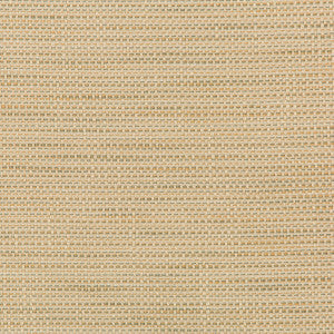 Kravet Design 36082-106 by Kravet Design Fabric