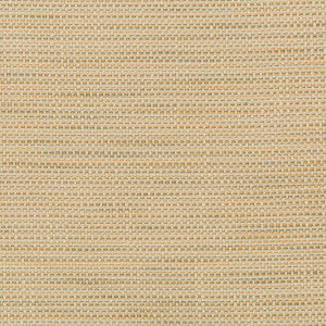 Kravet Design 36082-106 by Kravet Design Fabric