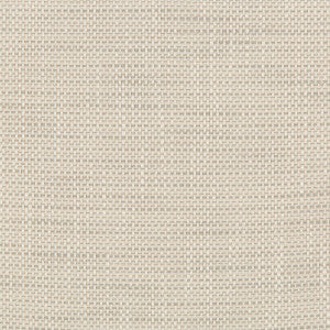 Kravet Design 36082-1101 by Kravet Design Fabric