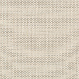 Kravet Design 36082-1101 by Kravet Design Fabric