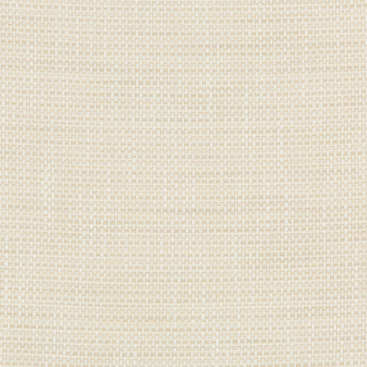 36082-1116 by Kravet Design Designer Fabric INSIDE OUT PERFORMANCE FABRICS POLYESTER - 92%;OLEFIN - 8% United States HEAVY Horizontal: 0 and Vertical: 0 55.75 - Swanky Fabrics -