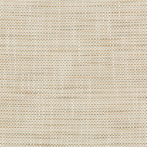 Kravet Design 36082-161 by Kravet Design Fabric