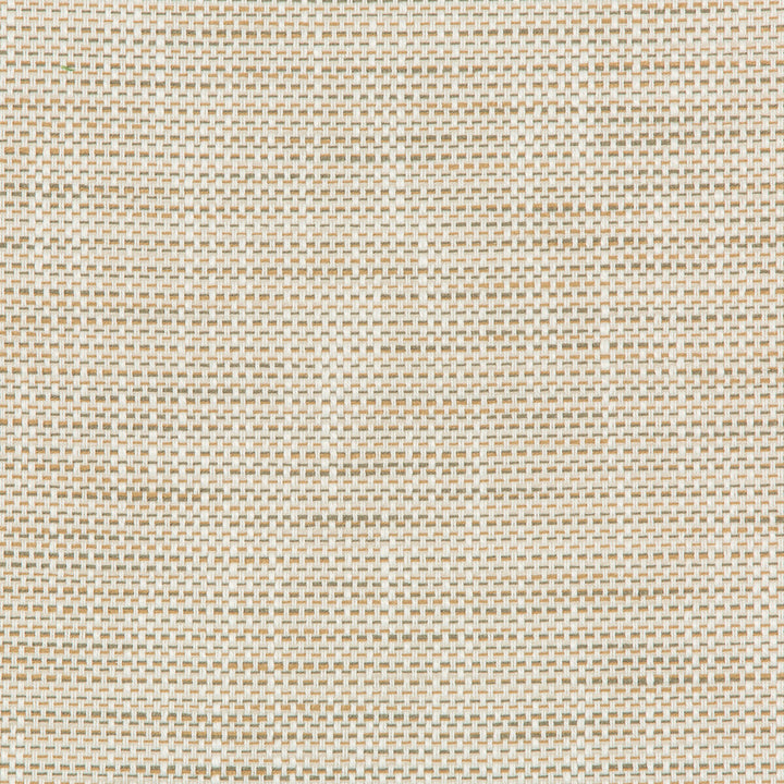 36082-161 by Kravet Design Fabric INSIDE OUT PERFORMANCE FABRICS POLYESTER - 92%;OLEFIN - 8% United States HEAVY Horizontal: 0 and Vertical: 0 55.75 - Fabric Carolina -