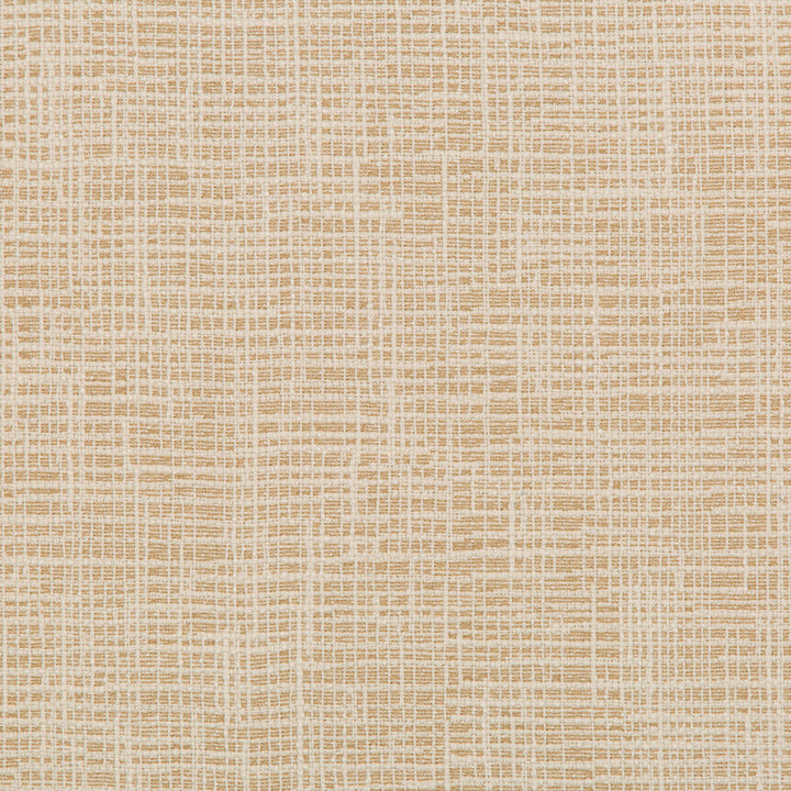 36083-1616 by Kravet Design Fabric INSIDE OUT PERFORMANCE FABRICS POLYESTER - 100% United States HEAVY Horizontal: 10.69 and Vertical: 6.25 54.5 - Fabric Carolina -