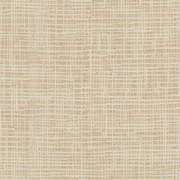 36083-16 by Kravet Design Fabric INSIDE OUT PERFORMANCE FABRICS POLYESTER - 100% United States HEAVY Horizontal: 10.69 and Vertical: 6.25 54.5 - Fabric Carolina -
