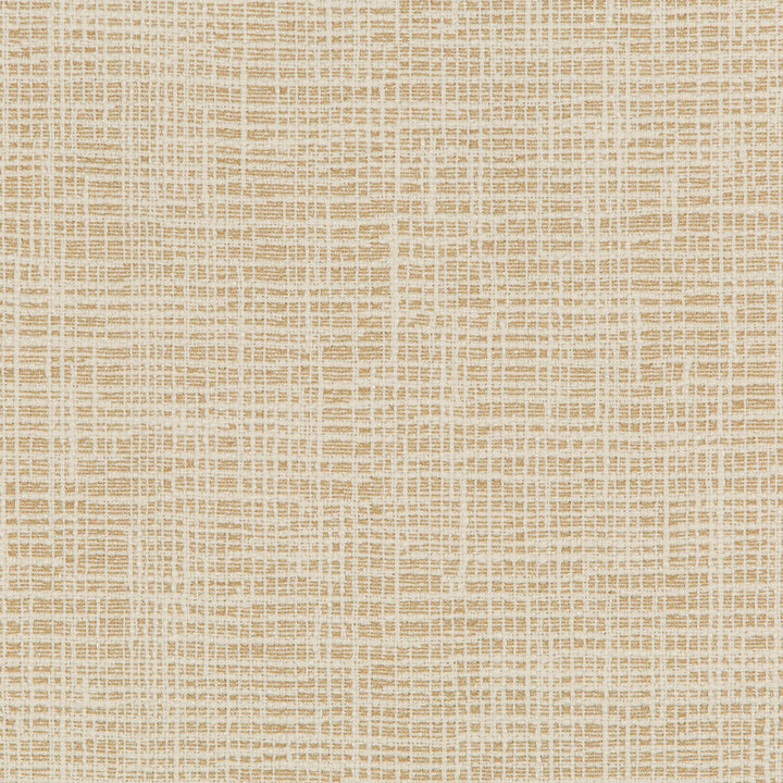 36083-16 by Kravet Design Designer Fabric INSIDE OUT PERFORMANCE FABRICS POLYESTER - 100% United States HEAVY Horizontal: 10.69 and Vertical: 6.25 54.5 - Swanky Fabrics -
