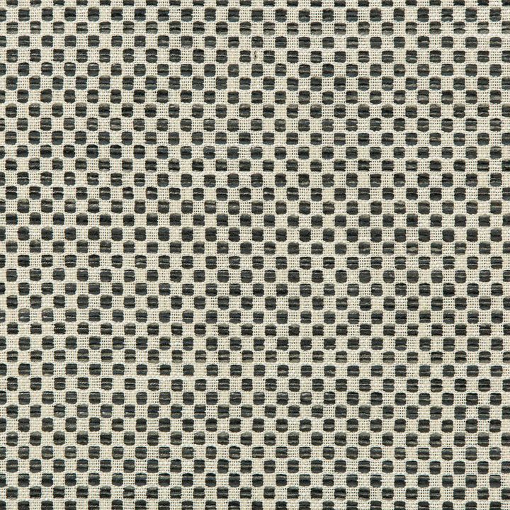 36090-21 by Kravet Design Fabric INSIDE OUT PERFORMANCE FABRICS POLYESTER - 100% United States HEAVY Horizontal: and Vertical: 56.75 - Fabric Carolina -