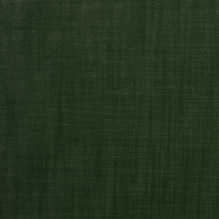 36096-303 by Kravet Design Fabric POLYESTER - 100% Turkey HEAVY Horizontal: 0 and Vertical: 0 55 - Fabric Carolina -