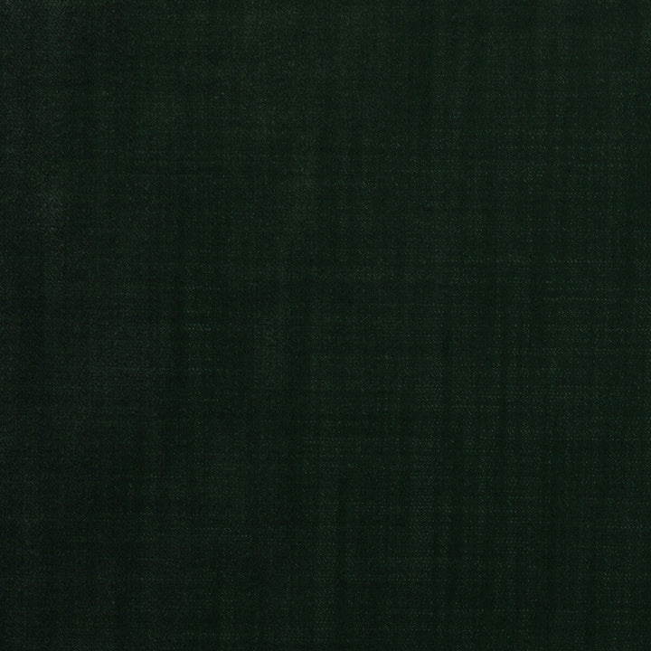 Kravet Design 36096-3 by Kravet Design Fabric Kravet Design Fabric Kravet Design 36096-3Fabric POLYESTER - 100% Turkey </p><p>Repeat: H: 0, V: 0 55 - Fabric Carolina -