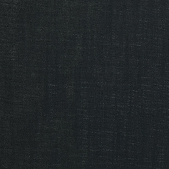 36096-821 by Kravet Design Fabric POLYESTER - 100% Turkey HEAVY Horizontal: 0 and Vertical: 0 55 - Fabric Carolina -