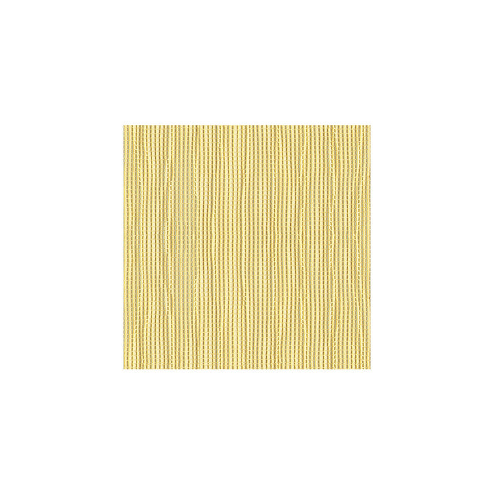 3609-1 by Kravet Basics Fabric - POLYESTER - 100% Turkey - Horizontal: - and Vertical: - 110 - Fabric Carolina -