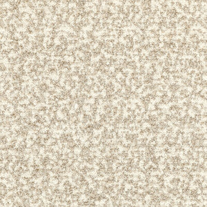 Flying High White Sand by Kravet Fabric