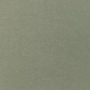 Kravet Smart 36110-311 by Kravet Smart Fabric