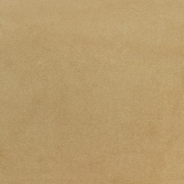 36111-106 by Kravet Smart Designer Fabric PERFORMANCE KRAVETARMOR POLYESTER - 100% Turkey HEAVY Horizontal: 0 and Vertical: 0 55 - Swanky Fabrics -