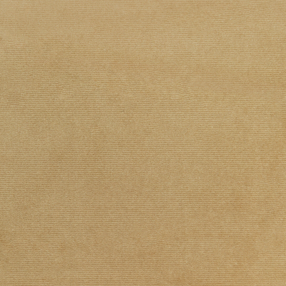 Kravet Smart 36111-106 by Kravet Smart Fabric Kravet Smart Fabric Kravet Smart 36111-106Fabric PERFORMANCE KRAVETARMOR POLYESTER - 100% Turkey </p><p>Repeat: H: 0, V: 0 55 - Fabric Carolina -
