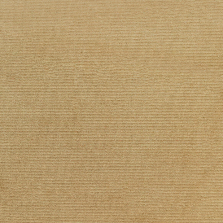 Kravet Smart 36111-106 by Kravet Smart Fabric Kravet Smart Fabric Kravet Smart 36111-106Fabric PERFORMANCE KRAVETARMOR POLYESTER - 100% Turkey </p><p>Repeat: H: 0, V: 0 55 - Fabric Carolina -