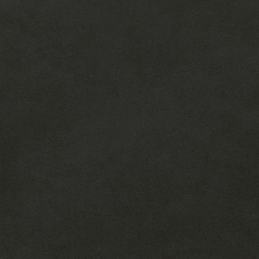 36111-1121 by Kravet Smart Fabric PERFORMANCE KRAVETARMOR POLYESTER - 100% Turkey HEAVY Horizontal: 0 and Vertical: 0 55 - Fabric Carolina -
