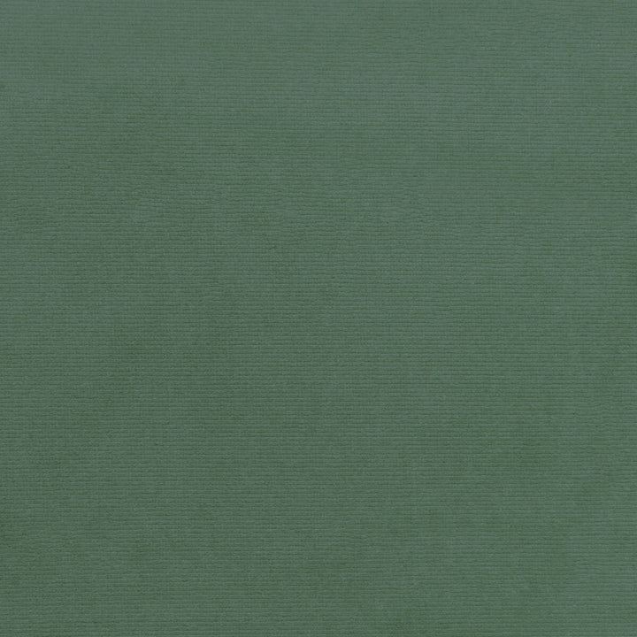 36111-113 by Kravet Smart Fabric PERFORMANCE KRAVETARMOR POLYESTER - 100% Turkey HEAVY Horizontal: 0 and Vertical: 0 55 - Fabric Carolina -