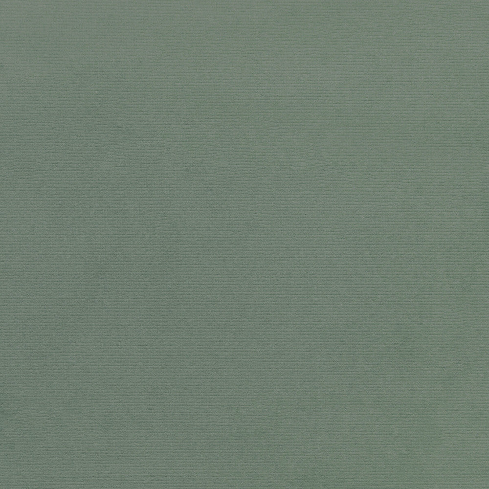36111-115 by Kravet Smart Fabric PERFORMANCE KRAVETARMOR POLYESTER - 100% Turkey HEAVY Horizontal: 0 and Vertical: 0 55 - Fabric Carolina -