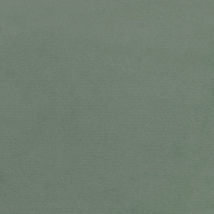36111-115 by Kravet Smart Fabric PERFORMANCE KRAVETARMOR POLYESTER - 100% Turkey HEAVY Horizontal: 0 and Vertical: 0 55 - Fabric Carolina -