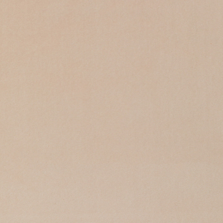 36111-117 by Kravet Smart Fabric PERFORMANCE KRAVETARMOR POLYESTER - 100% Turkey HEAVY Horizontal: 0 and Vertical: 0 55 - Fabric Carolina -