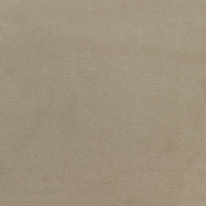 36111-11 by Kravet Smart Fabric PERFORMANCE KRAVETARMOR POLYESTER - 100% Turkey HEAVY Horizontal: 0 and Vertical: 0 55 - Fabric Carolina -