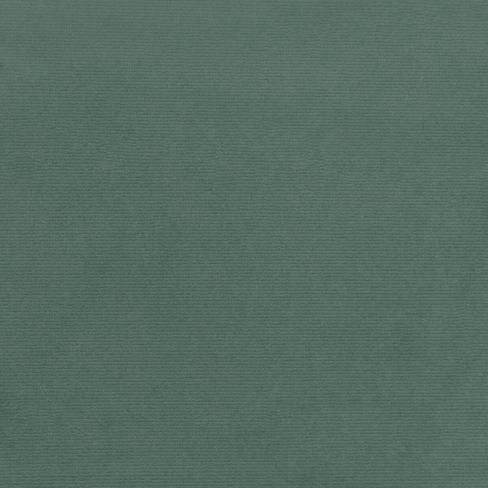 36111-13 by Kravet Smart Fabric PERFORMANCE KRAVETARMOR POLYESTER - 100% Turkey HEAVY Horizontal: 0 and Vertical: 0 55 - Fabric Carolina -
