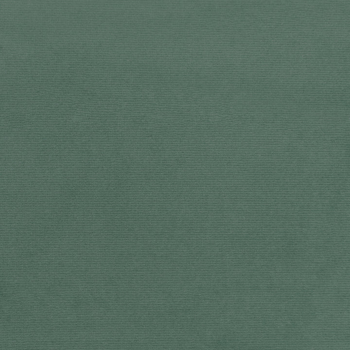 36111-13 by Kravet Smart Fabric PERFORMANCE KRAVETARMOR POLYESTER - 100% Turkey HEAVY Horizontal: 0 and Vertical: 0 55 - Fabric Carolina -
