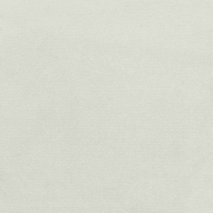 36111-1 by Kravet Smart Fabric PERFORMANCE KRAVETARMOR POLYESTER - 100% Turkey HEAVY Horizontal: 0 and Vertical: 0 55 - Fabric Carolina -