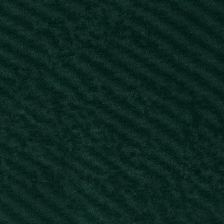 36111-350 by Kravet Smart Fabric PERFORMANCE KRAVETARMOR POLYESTER - 100% Turkey HEAVY Horizontal: 0 and Vertical: 0 55 - Fabric Carolina -