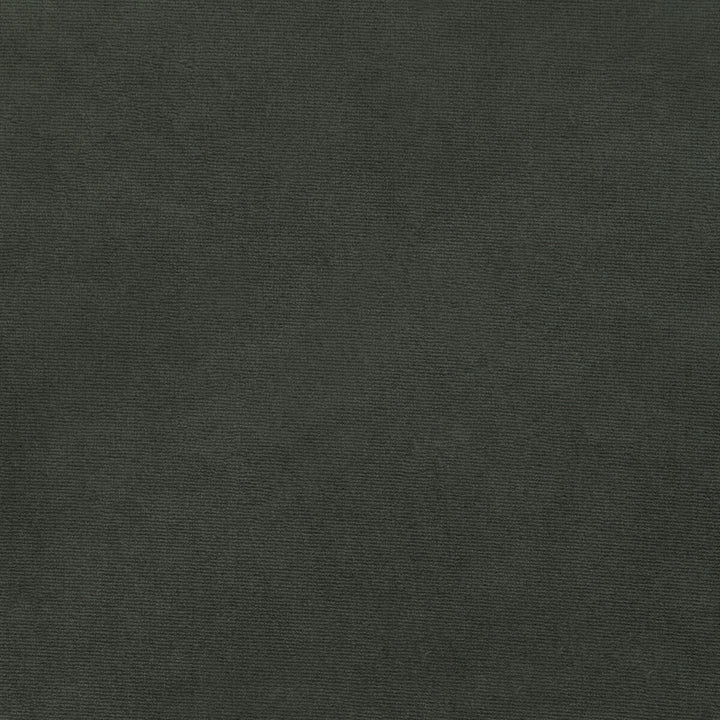 36111-52 by Kravet Smart Fabric PERFORMANCE KRAVETARMOR POLYESTER - 100% Turkey HEAVY Horizontal: 0 and Vertical: 0 55 - Fabric Carolina -