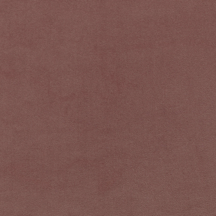 36111-77 by Kravet Smart Fabric PERFORMANCE KRAVETARMOR POLYESTER - 100% Turkey HEAVY Horizontal: 0 and Vertical: 0 55 - Fabric Carolina -