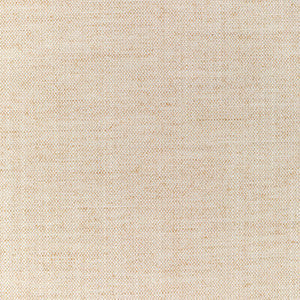 36112-1161 by Kravet Fabric