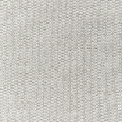 36112.11.0 by Kravet Fabric Kravet Fabric 36112.11.0Fabric PERFORMANCE KRAVETARMOR POLYESTER - 100% India </p><p>Repeat: H: 0, V: 0 54 - Fabric Carolina -