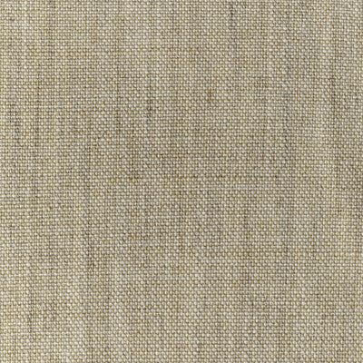 36112.1630.0 by Kravet Fabric Kravet Fabric 36112.1630.0Fabric PERFORMANCE KRAVETARMOR POLYESTER - 100% India </p><p>Repeat: H: 0, V: 0 54 - Fabric Carolina -