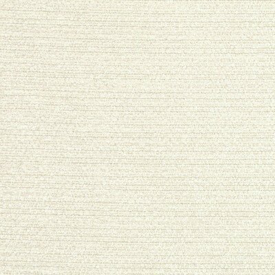 36121.101.0 by Kravet Fabric Kravet Fabric 36121.101.0Fabric ACRYLIC CHENILLE - 58%;POLYESTER - 30%;COTTON - 12% Italy </p><p>Repeat: H: 0, V: 0 55.12 - Fabric Carolina -