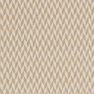 Tupai Outdoor 531 by Kravet Couture Fabric