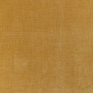 Accommodate Dijon by Kravet Contract Fabric