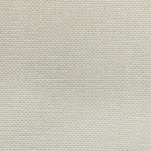 Carson Fog by Kravet Fabric