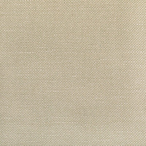 Carson Taupe by Kravet Fabric