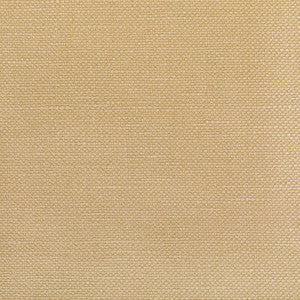 Carson Tussah by Kravet Fabric