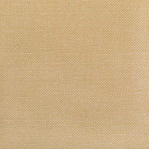 Carson Tussah by Kravet Fabric