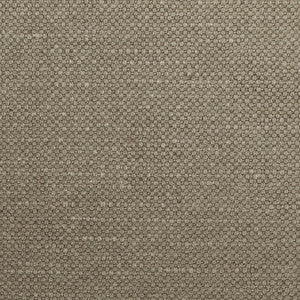 Carson Steam by Kravet Fabric
