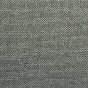 Carson Rhino by Kravet Fabric
