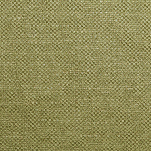 Carson Dill by Kravet Fabric