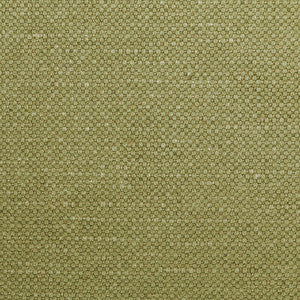 Carson Dill by Kravet Fabric