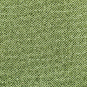 Carson Frog by Kravet Fabric