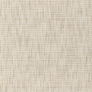 36289-1 by Kravet Fabric