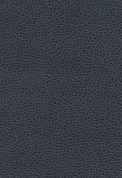 Promessa Atlantic 363-2680 by Schumacher Fabric Ultraleather 100% Polyurethane Wyzenbeek 400,000 Horizontal: - and Vertical: - 54 - Fabric Carolina -